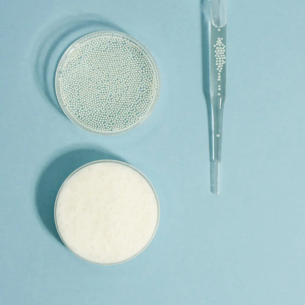 Płytki Petriego z substancjami na niebieskim tle.