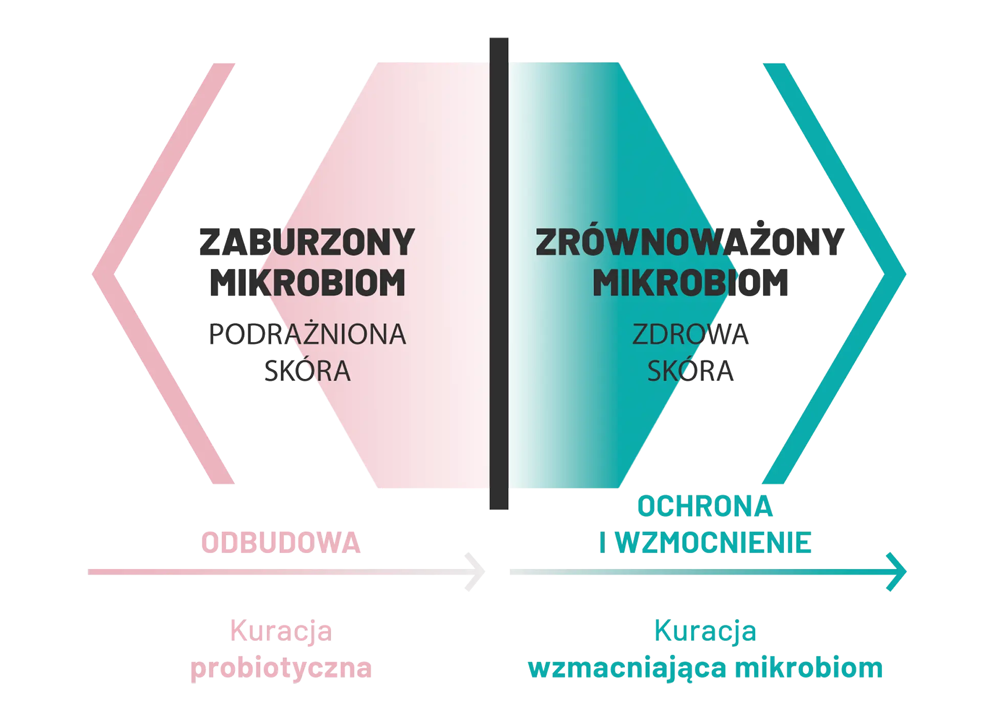 Grafika przedstawiająca równowagę mikrobiomu skóry.