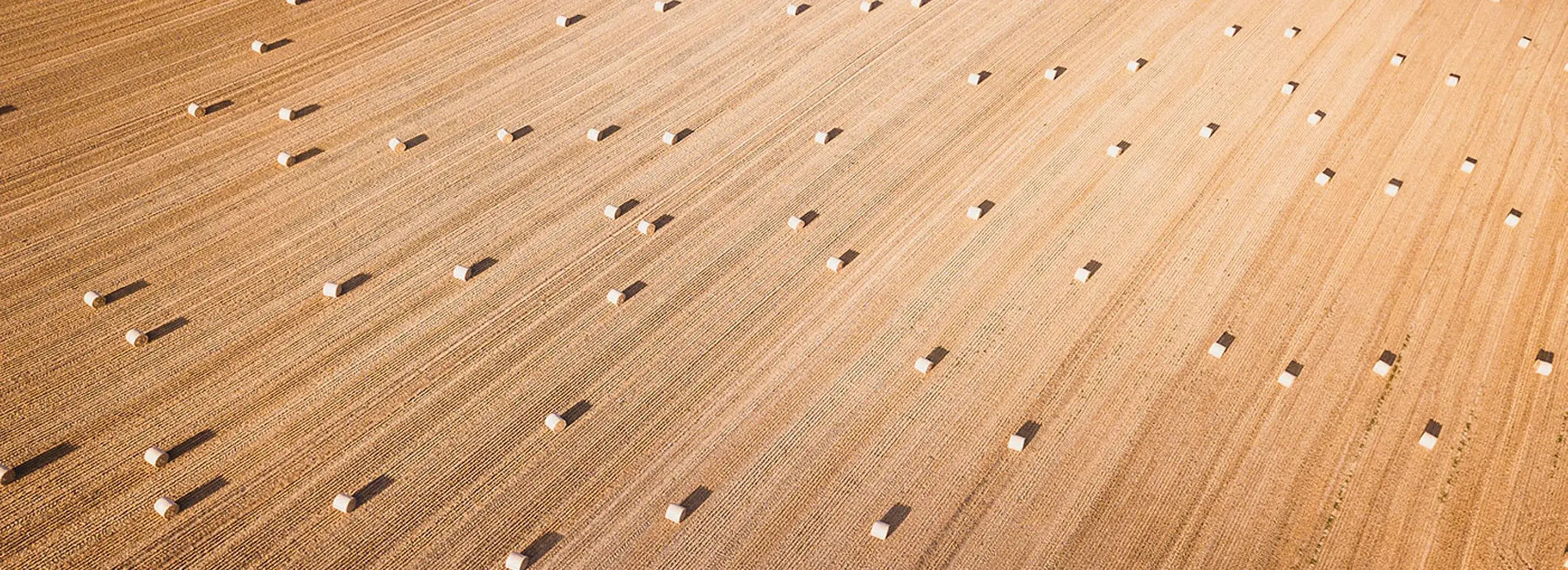 Widok z lotu ptaka na pole uprawne z r&oacute;wnomiernie rozłożonymi belami słomy po żniwach