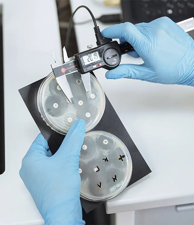 Badanie laboratoryjne &ndash; płytki z pr&oacute;bkami w laboratorium diagnostycznym