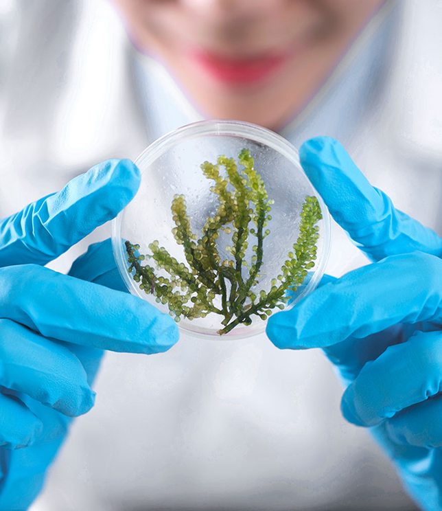 GDY CZYSTOŚĆ STAJE SIĘ ZBYT STERYLNA