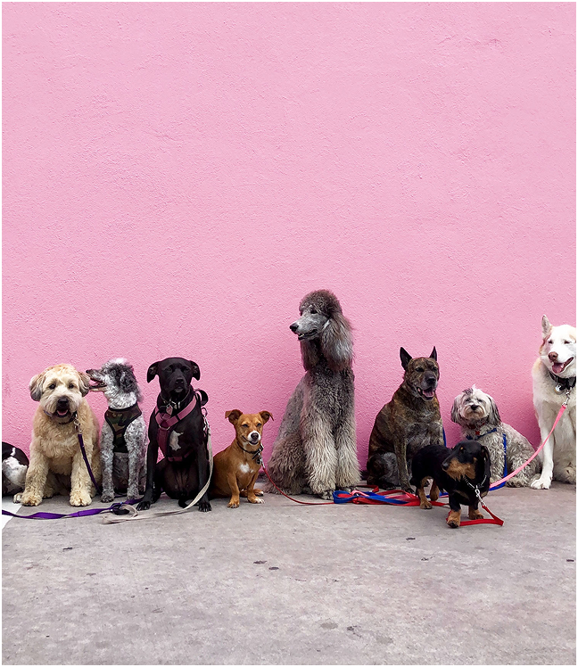 WSZECHSTRONNOŚĆ BAKTERII