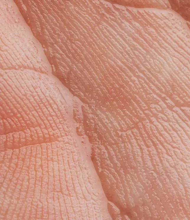 Zbliżenie na teksturę skóry