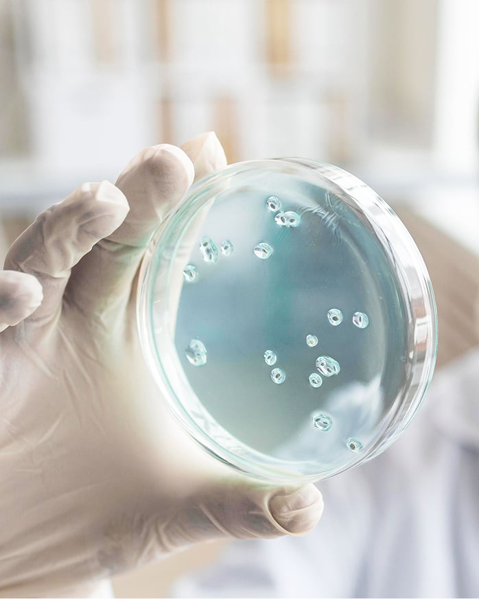 Ręka w rękawiczce trzymająca szalkę Petriego z próbką w laboratorium.