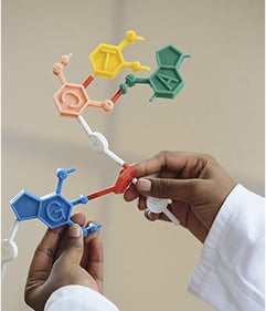 WZAJEMNE DZIAŁANIE PROBIOTYCZNYCH BAKTERII Z MOLEKUŁAMI POWIERZCHNIOWYMI SKÓRY