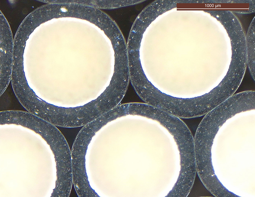 Zbliżenie na okrągłe próbki laboratoryjne w powiększeniu